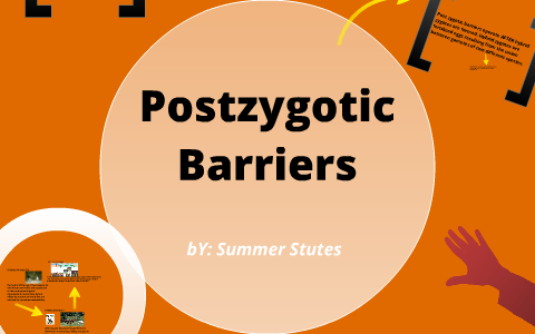 post and prezygotic barriers