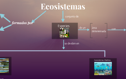 Ecosistemas by Brenda Sánchez Bravo on Prezi