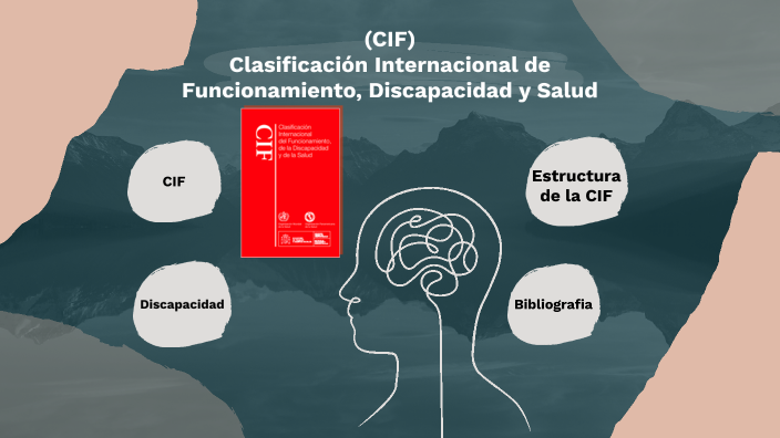 Clasificación Internacional De Funcionamiento, Discapacidad Y Salud ...