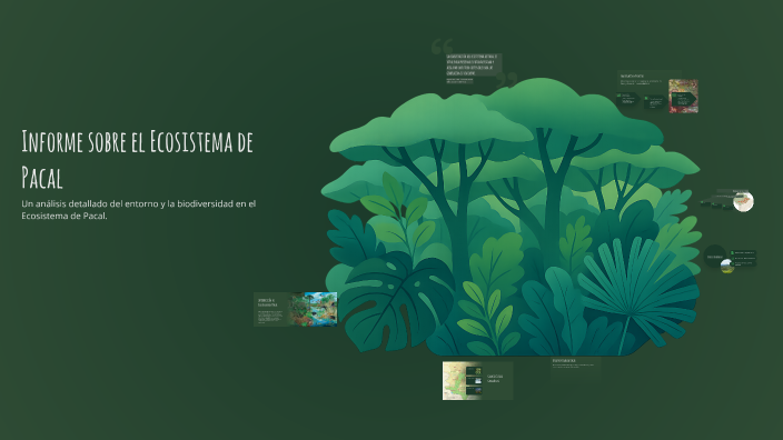 Informe sobre el Ecosistema de Pacal by Lu Fernandez on Prezi