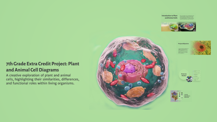 7th Grade Extra Credit Project: Plant and Animal Cell Diagrams by Seron ...