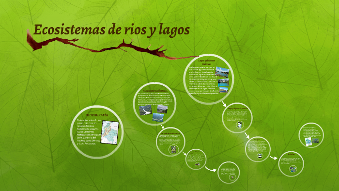 Ecosistemas de rios y lagos by on Prezi