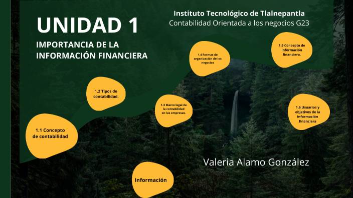 UNIDAD 1. Importancia de la información financiera by Valeria Alamo on ...