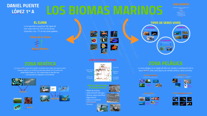 Los Biomas Marinos by Daniel Puente on Prezi