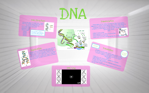 BIO. DNA presentation by Shannon Healy on Prezi