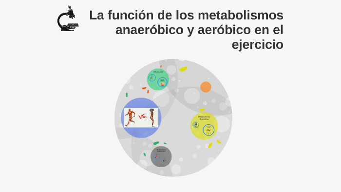 La funcion de los metabolismos anaerobico y aerobico en el e by Charyl ...