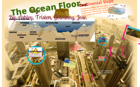 The Ocean Floor by Ashley baca on Prezi