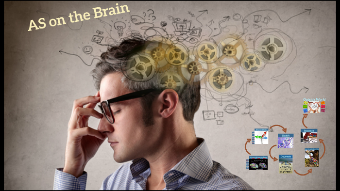 the brain 8 the brain 8
