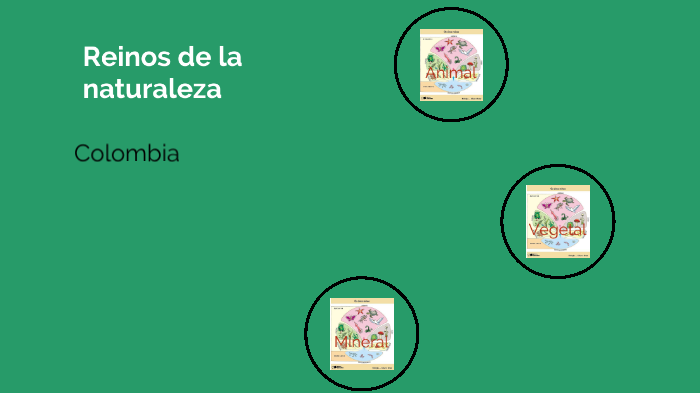 Reinos de la naturaleza by Edward Mauricio Luna Hernandez on Prezi