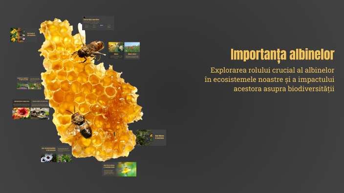 The Importance of Bees by Radu Stefan on Prezi