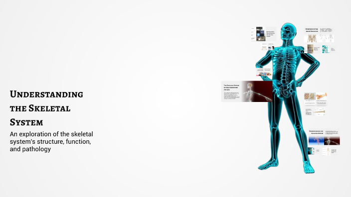 Understanding the Skeletal System by Alaina Allison on Prezi