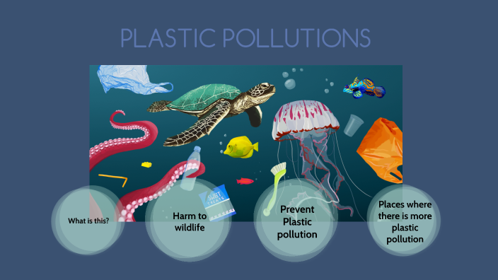 Plastic pollutions by MARÍA SIBAJA MARTÍNEZ on Prezi