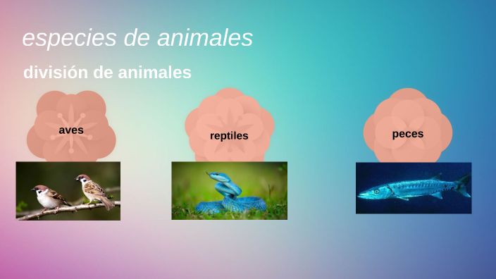 Espesies De Animales By Dalia Solange Contreras Sanchez On Prezi