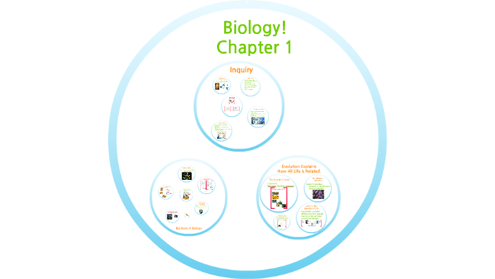 AP Biology, Chapter 1: Introduction To Biology By Paul Osterman On Prezi