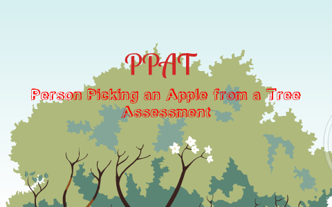Ppat Assessment By Whitney Flanigan