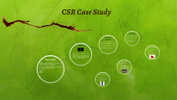 case study related to csr activities