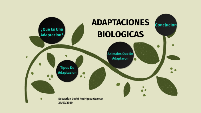 Adaptaciones Biologicas by David Rodriguez on Prezi