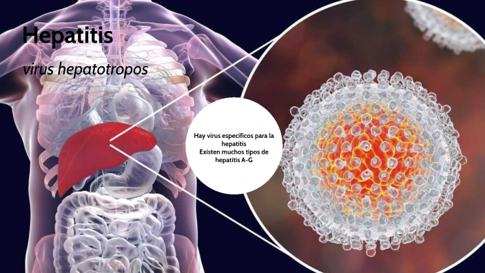 HEPATITIS A, B, C By Denniè Muñoz