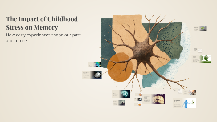 The Impact of Childhood Stress on Memory by Taima'a Al-Mansi on Prezi