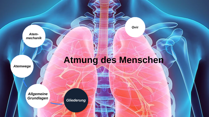 Atmungssystem des Menschen by Grit Richter on Prezi