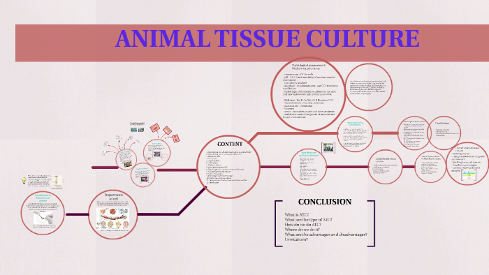 ANIMAL TISSUE CULTURE by BMS Batch10