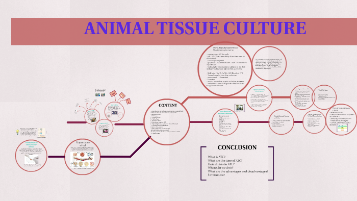 ANIMAL TISSUE CULTURE By BMS Batch10