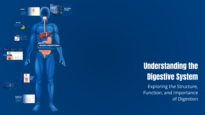 Understanding the Digestive System by Brenden on Prezi