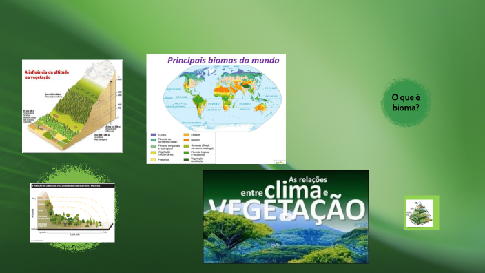 Biomas do mundo e do Brasil by delsa maura on Prezi