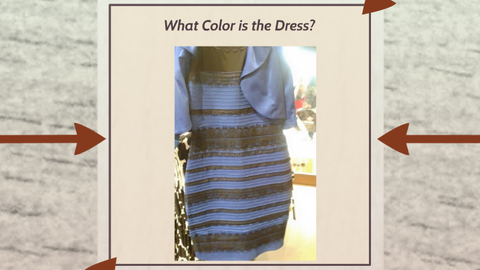 What Color is the Dress? by Beka Bruner