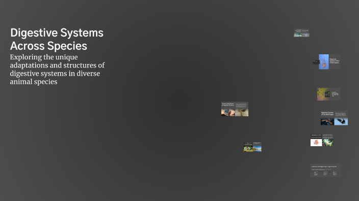 Digestive Systems Across Species by Erica Nicholson on Prezi