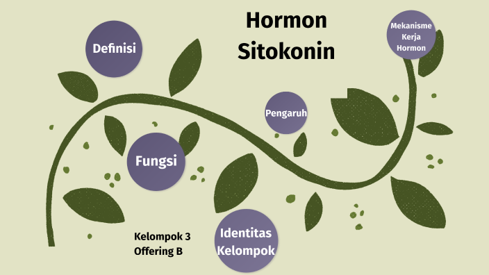 Apa Itu Hormon Sitokinin