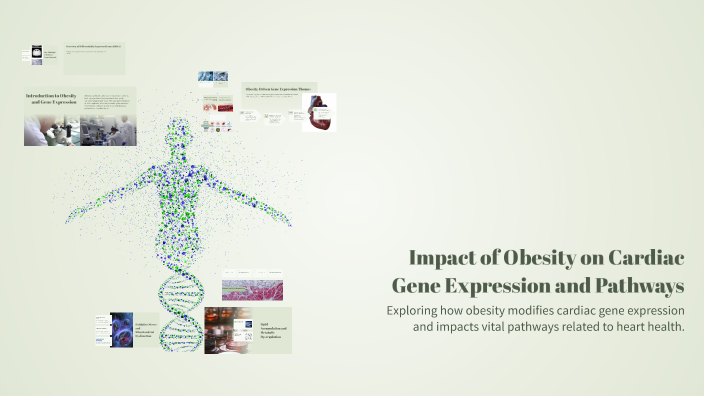 Impact of Obesity on Cardiac Gene Expression and Pathways by Bahlul ...