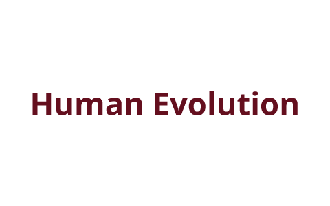 Human Evolution by oliver fielding on Prezi