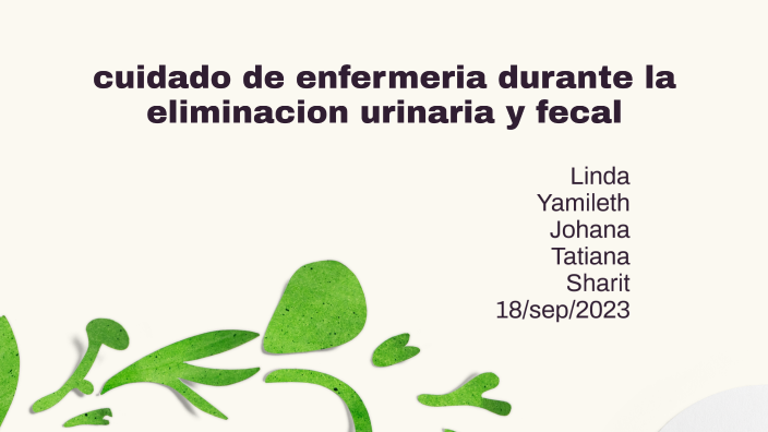 Cuidados De Enfermeria En Eliminacion Urinaria prezi.com
