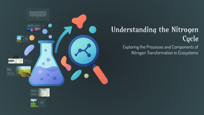 Understanding the Nitrogen Cycle by Reginald Ford on Prezi