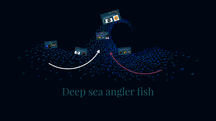 Deep sea angler fish by Christina Knox on Prezi