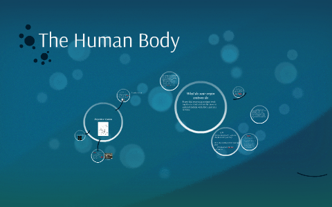 The Human Body by Maurice Nolan on Prezi