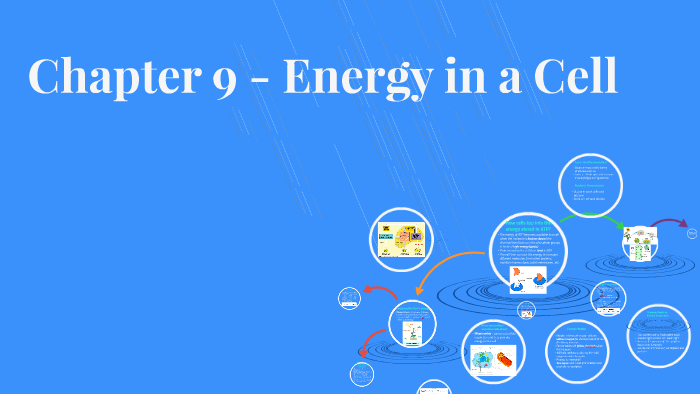 Chapter 9 Energy In A Cell By Alexa Owen On Prezi
