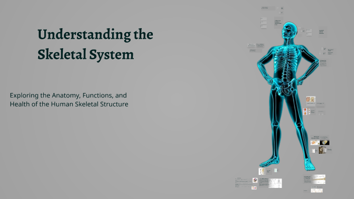Understanding the Skeletal System by Amie Kamara on Prezi