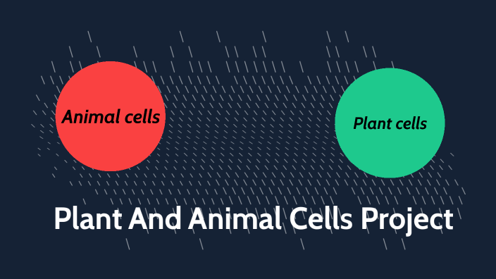 Plant and Animal Cells Project by Mark Corley on Prezi