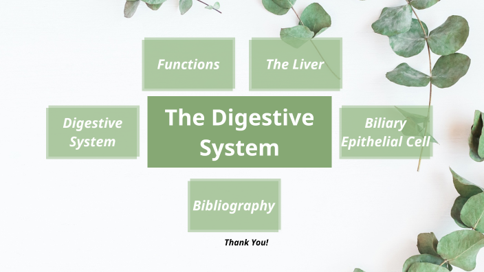 The Digestive System by Prinsika George on Prezi