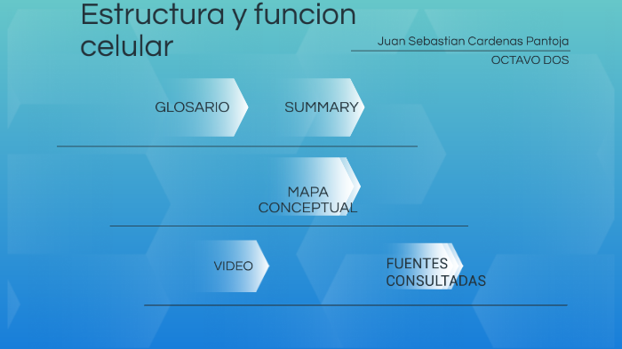 Estructura Y Función Celular By Sebastian Pantoja On Prezi