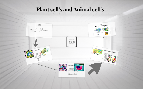 Plant cell's and Animal cell's by Johnson , Isabella on Prezi