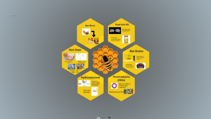 The Power of Honeybees by Sruthi R Keerthipati on Prezi