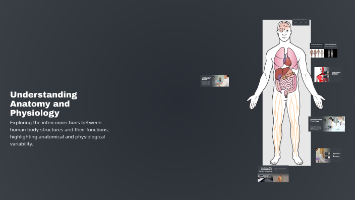 Understanding Anatomy and Physiology by darcey jaffery on Prezi