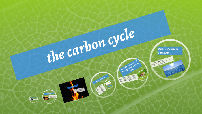 the carbon cycle by Alexis Nunez on Prezi