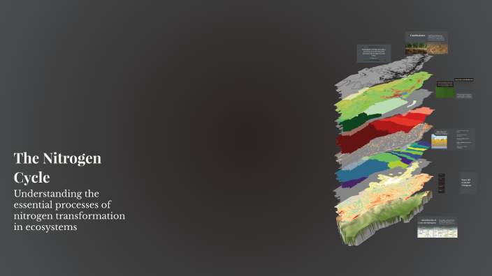 The Nitrogen Cycle by Juan David Cárdenas Muñoz on Prezi