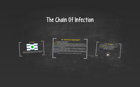 The Chain Of Infection by on Prezi