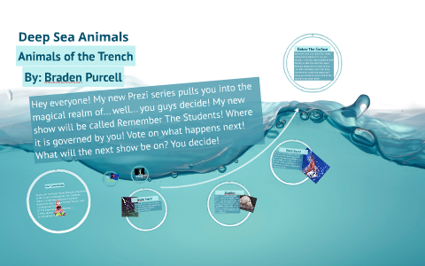 Deep Sea: Animals of the Trench by Braden Purcell on Prezi