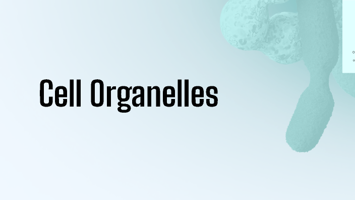 Cell Organelles by Jasmine on Prezi